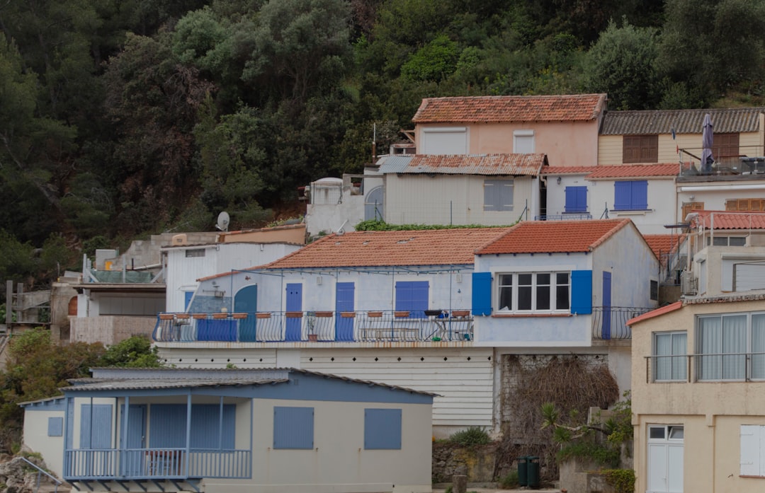 Blue House