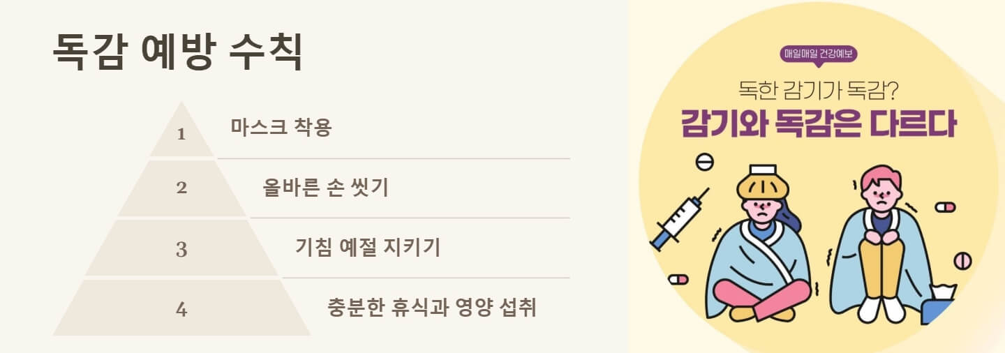 독감 검사비용 초기증상