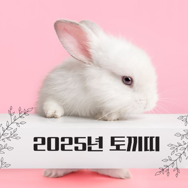 2025년 토끼따