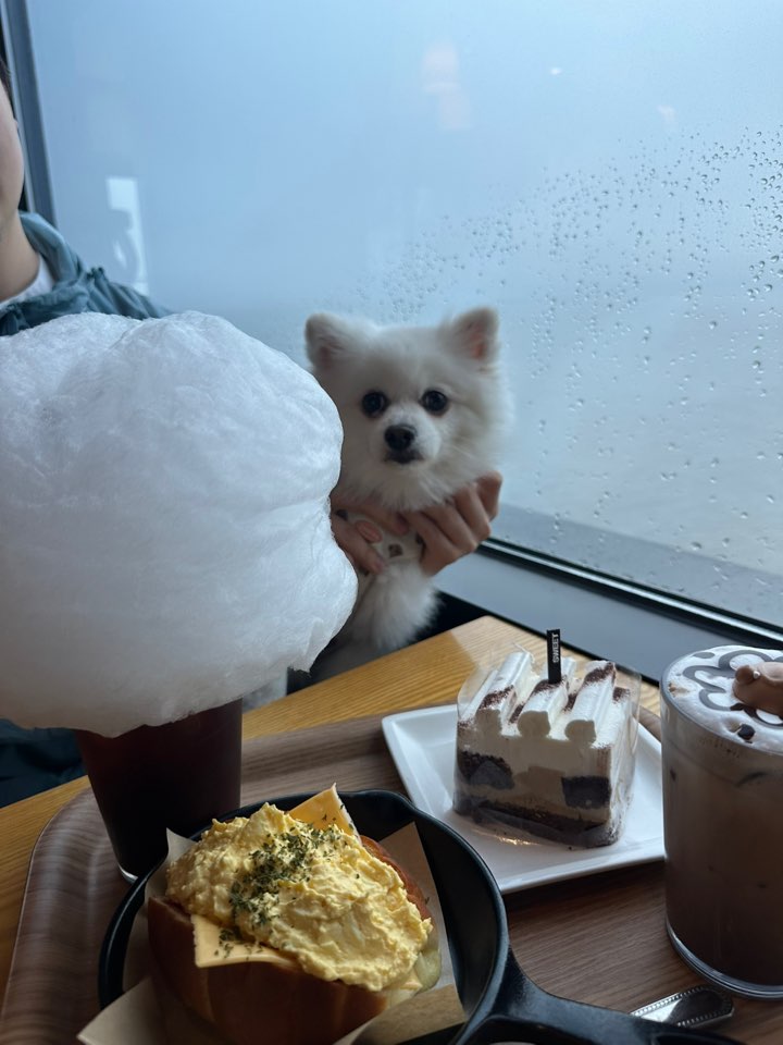 필자가 주문한 음식들