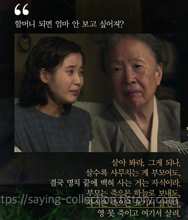 할머니