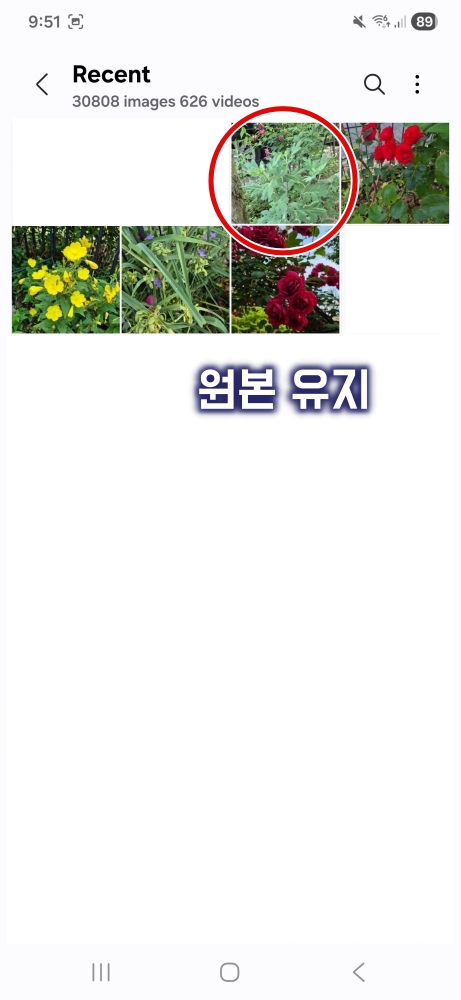 구글포토 사진 삭제 원본