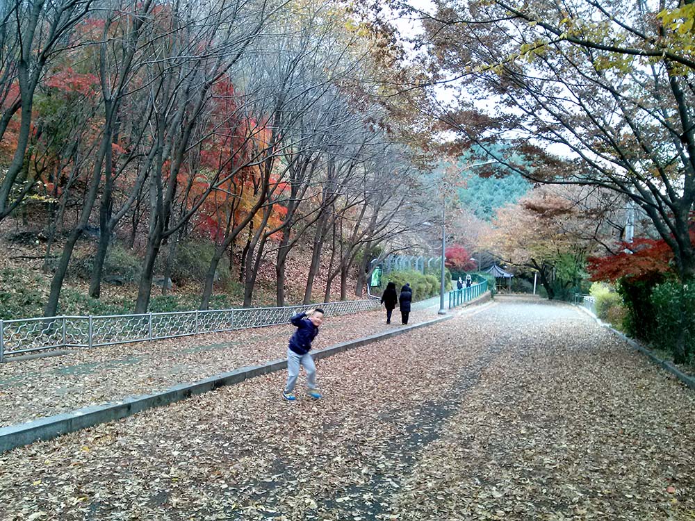 서대문구 안산 여성친화 테마길 여기로 스탬프 투어