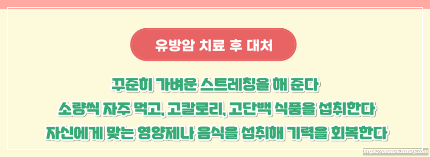 유방암 치료과정 증상 대처