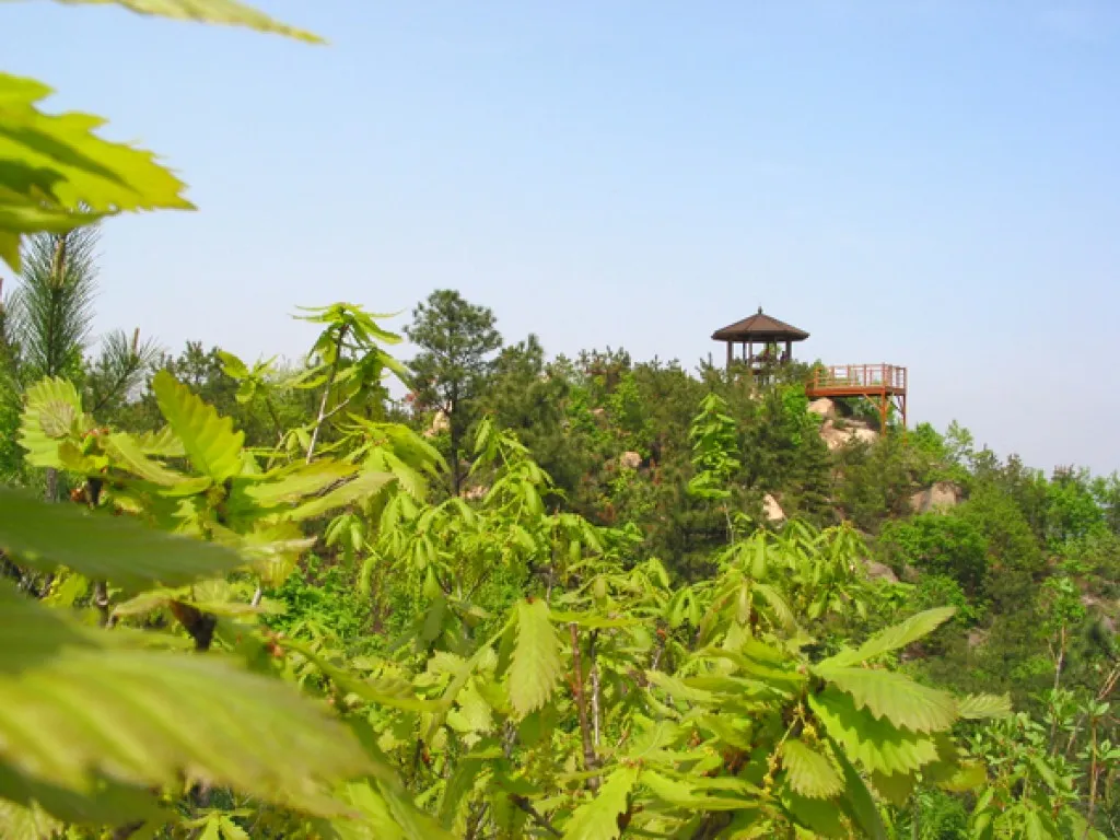 수원 칠보산 등산 코스 추천 용화사 코스로 여유롭게 걷기_5