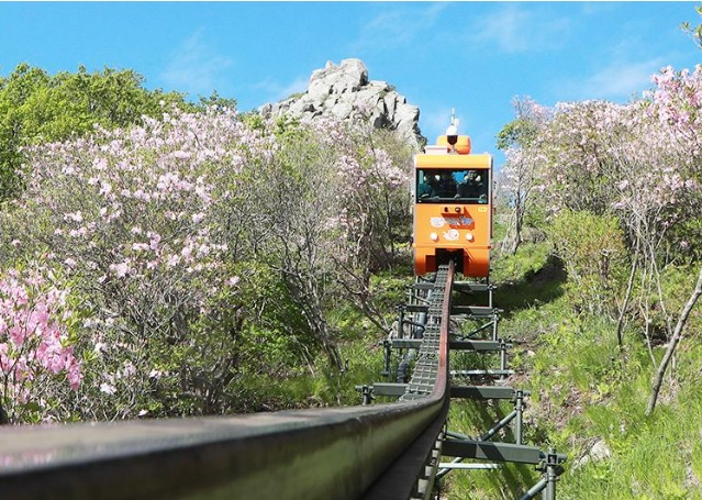 대봉 스카이랜드 모노레일 집라인