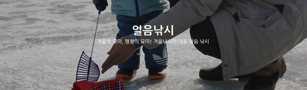 평창 송어축제 정보, 놀이시설 및 온라인 예약, 드디어 12월 30일부터 송어축제가 열립니다.