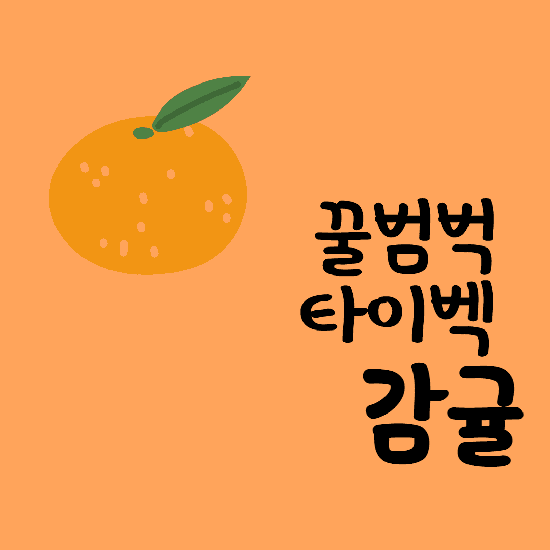 꿀범벅 타이벡 감귤