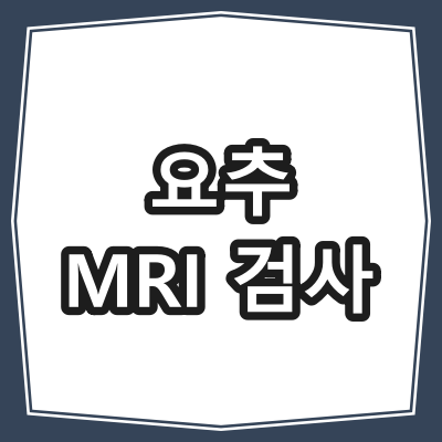 요추 MRI [L-Spine MRI] 검사 목적과 주의사항