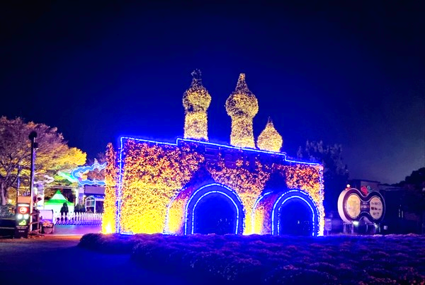 함평 겨울 빛축제