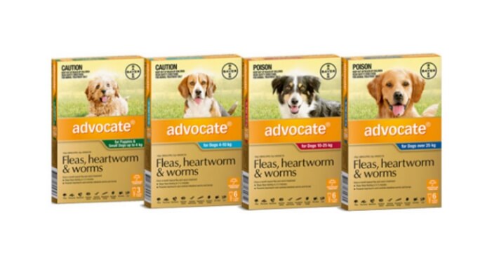 강아지 심장사상충 예방