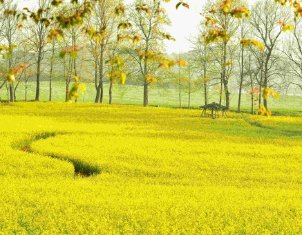 학원농장