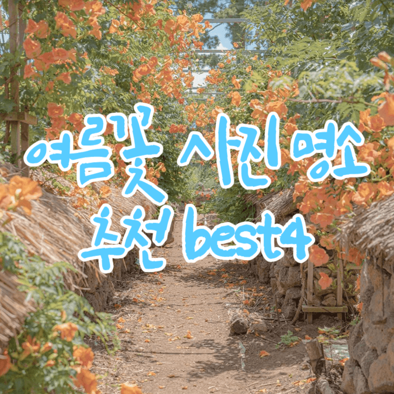 여름꽃 사진 명소 추천 best4 썸네일
