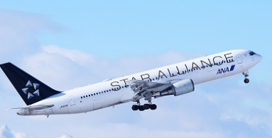 스타얼라이언스 항공사