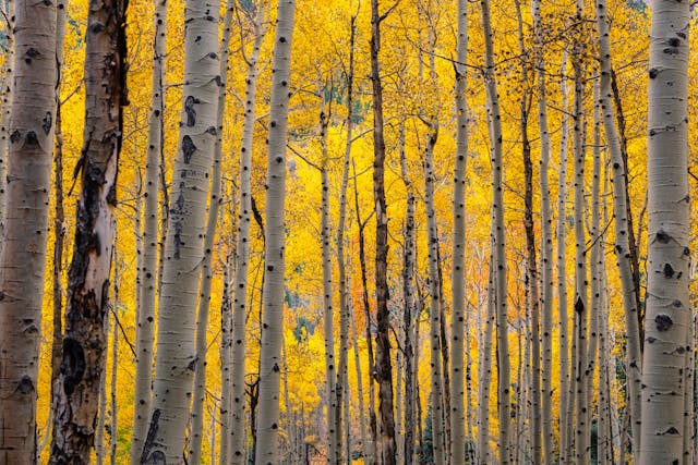 가을 단풍 명산 추천 10선