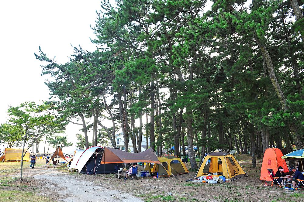 경상남도 남해군 송정솔바람야영장