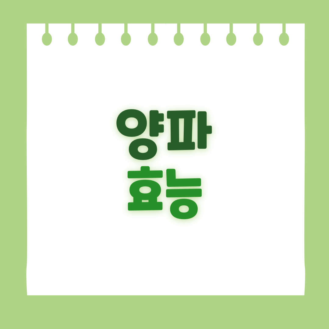 양파의 효능