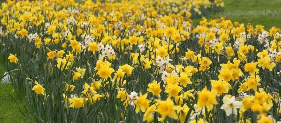 생생정보 고수의 부엌 곤지암 화담숲 근처 묵은지 등갈비찜과 석쇠불고기 맛집 곤지암 웅골