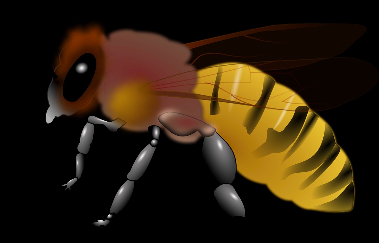 프로폴리스-효능-후기-기관지