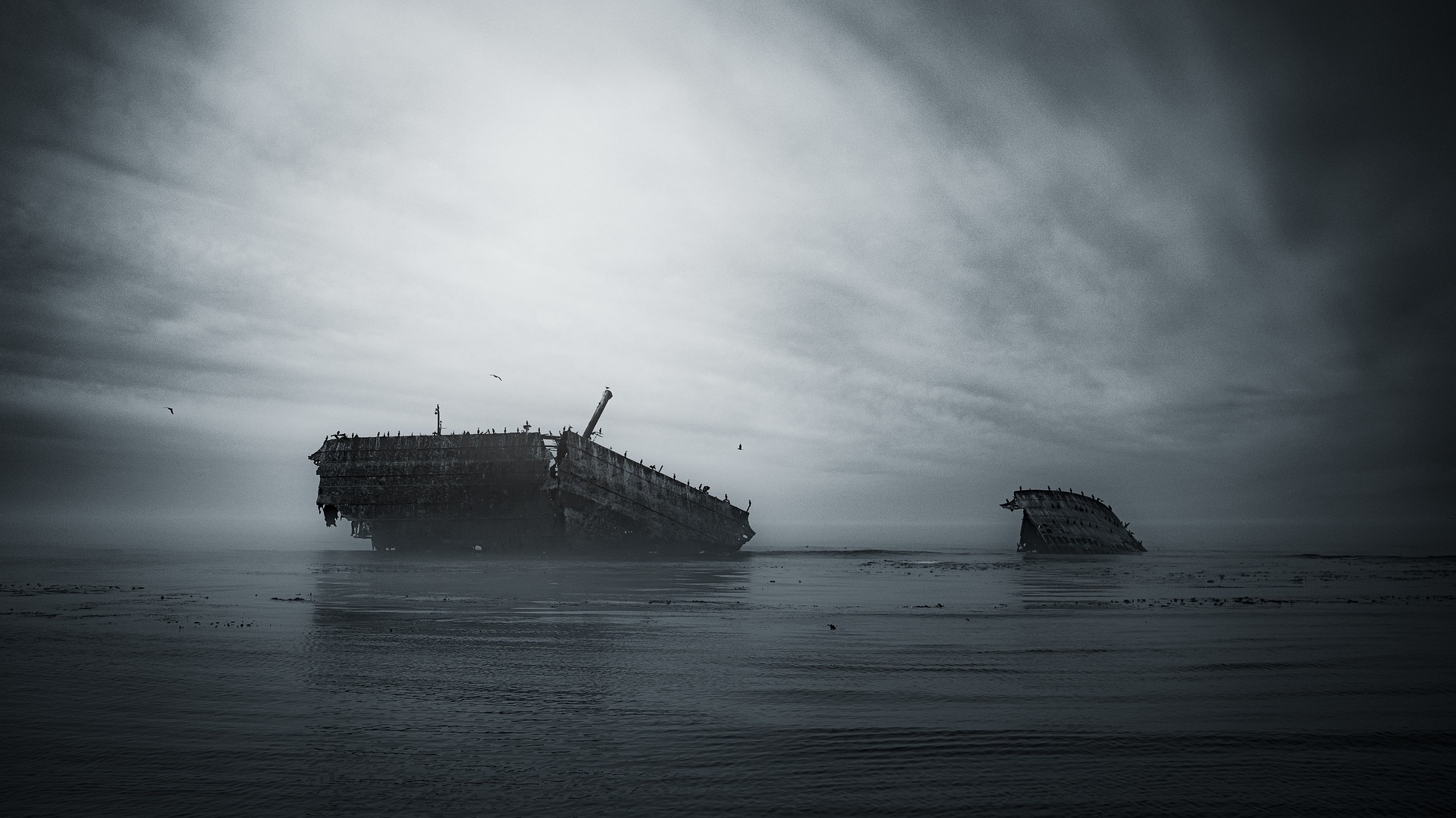 고사성어 파부침선 파부침주 破釜沈舟 항우