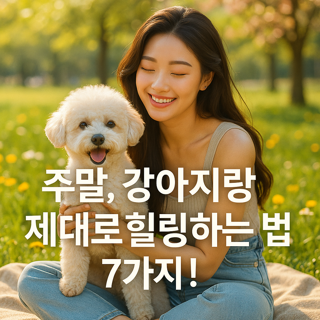 강아지랑 주말 제대로 힐링하는 법 7가지