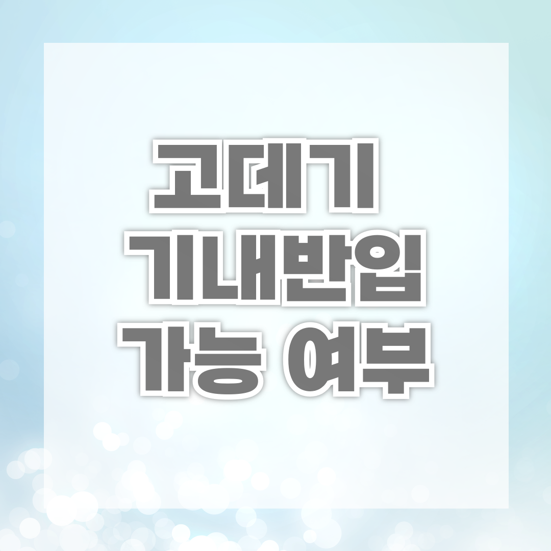 USB 고데기 기내 가능?