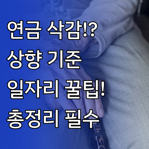 노령연금 소득 감액 기준 상향 노인일..