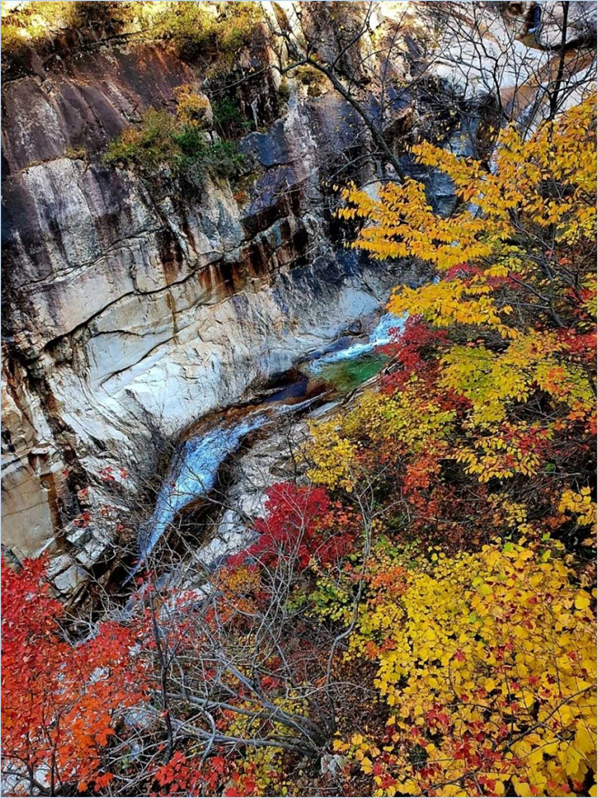 2023-가을-단풍축제-절정시기