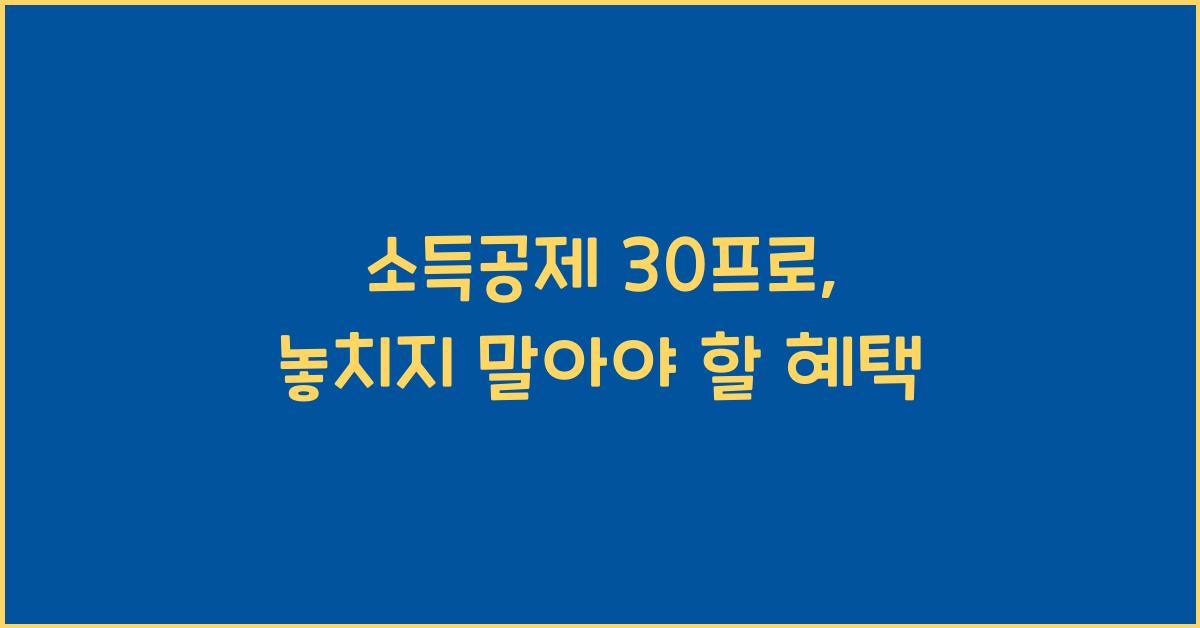 소득공제 30프로