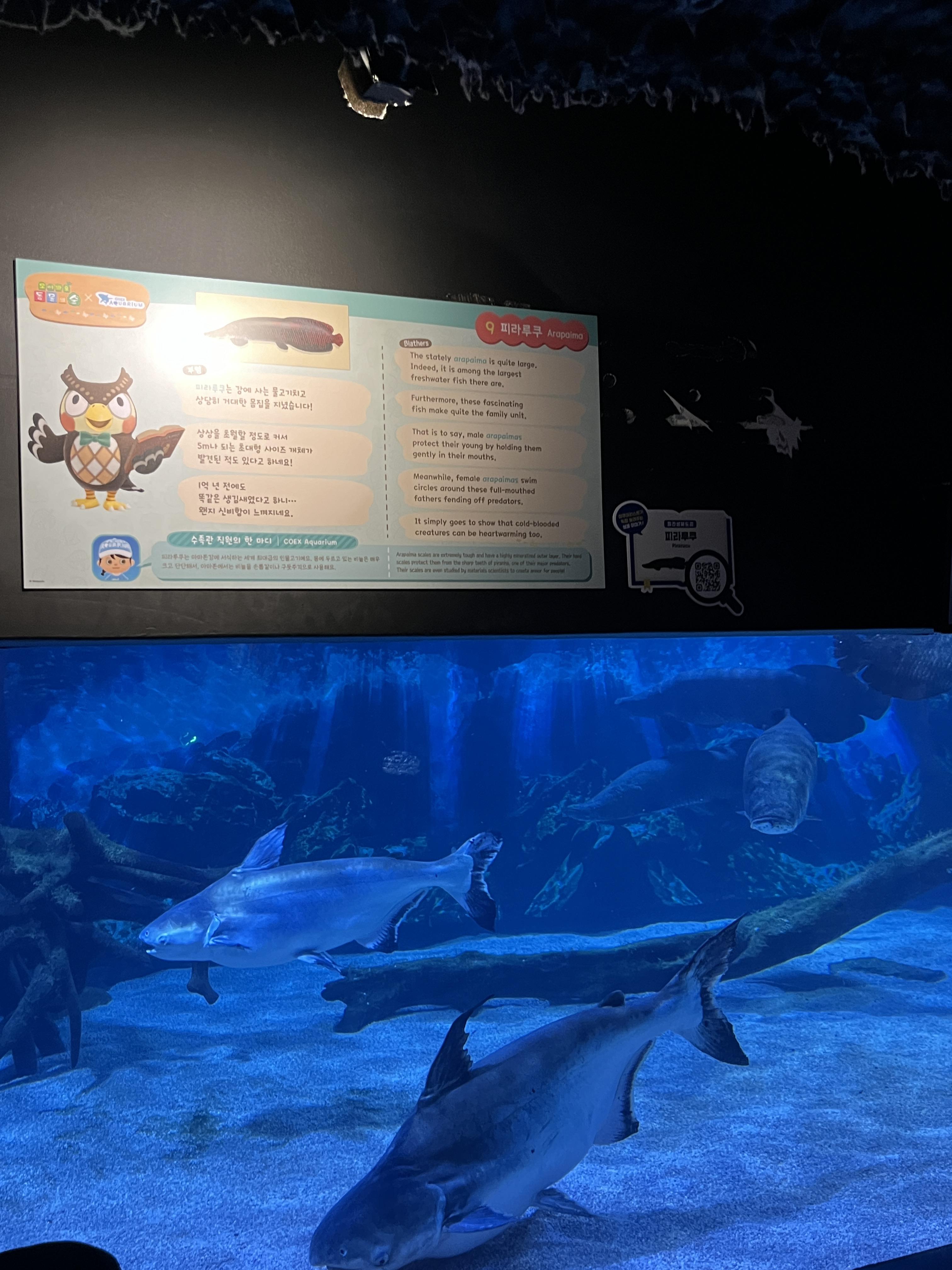 코엑스 아쿠아리움 동물의숲