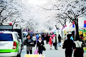 2024 충주호 벚꽃축제 기본정보 및 프로그램 소개