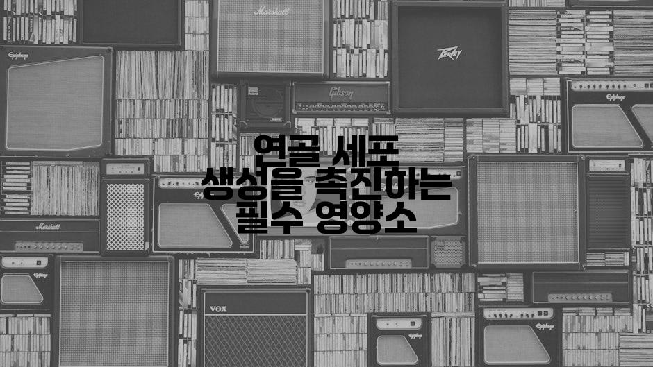 연골 세포 생성을 촉진하는 필수 영양소