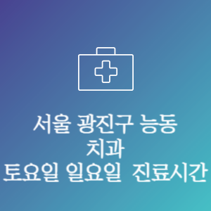 서울 광진구 능동 치과 주말 토요일 일요일 문여는 병원 진료시간