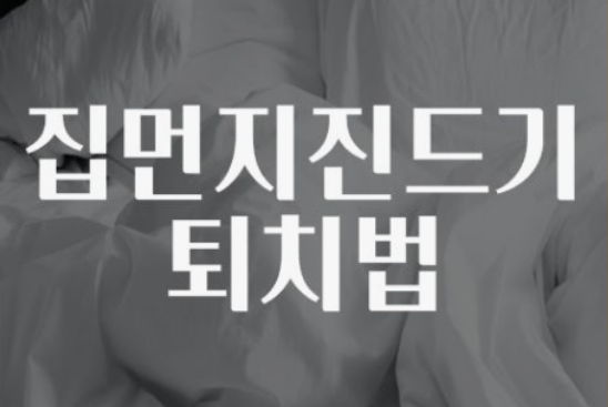 집먼지 진드기 제거방법