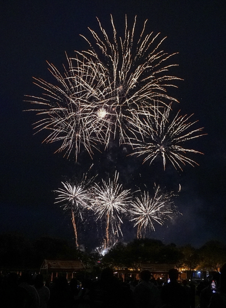 2025 연천 전곡 구석기축제 사전 예약하기, 개요, 입장료, 프로그램, 주차 안내