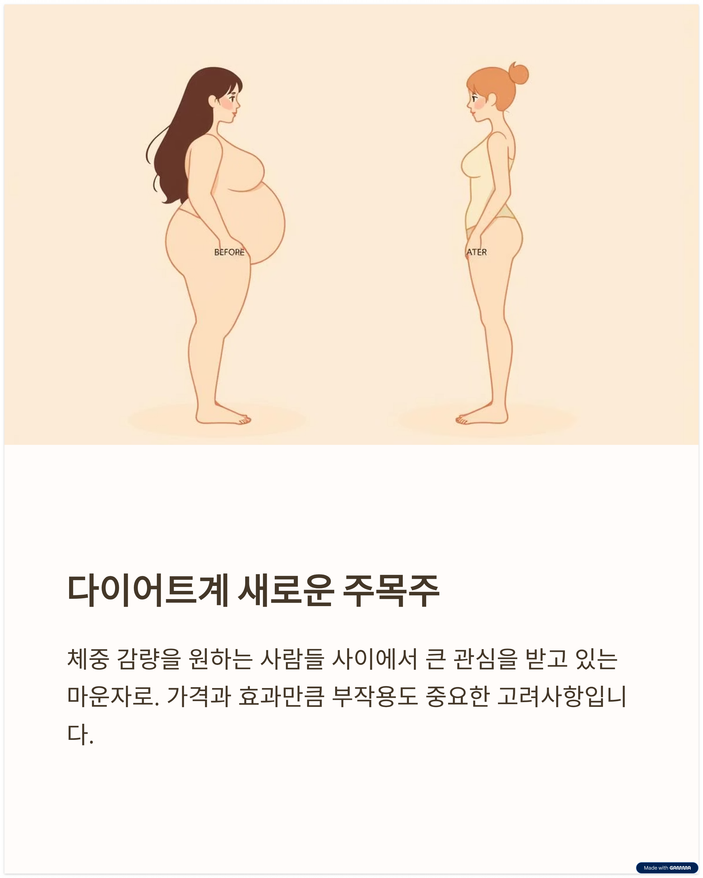 마운자로관련사진