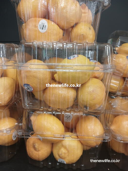 레몬수 효능 섭취 방법 물 한 컵 실사진