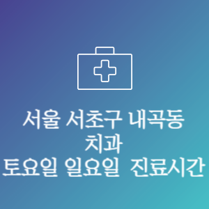 서울 서초구 내곡동 치과 주말 토요일 일요일 문여는 병원 진료시간