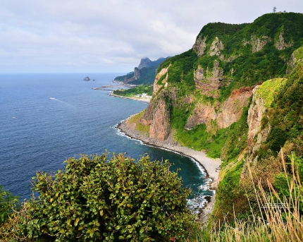 강릉 울릉도 배편4