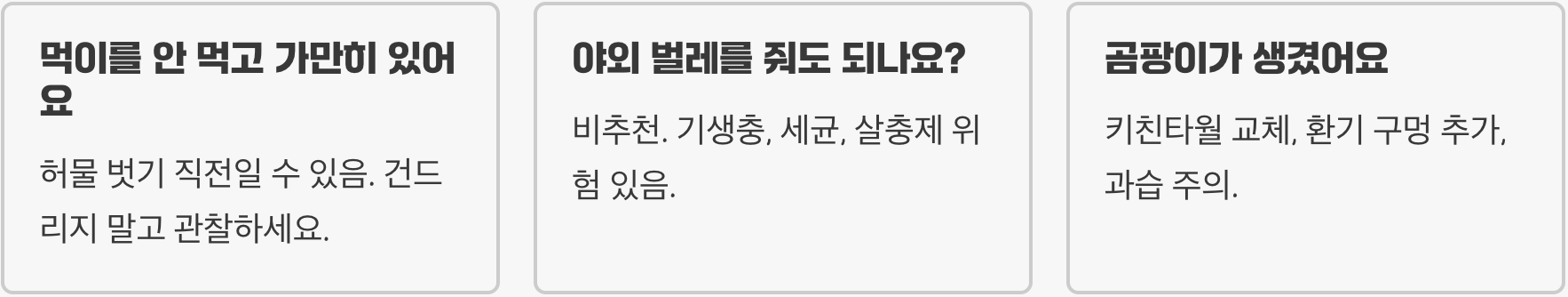 작고 귀여운 좀사마귀 키우기 A to Z (먹이, 사육통, 짝짓기 완벽 가이드)