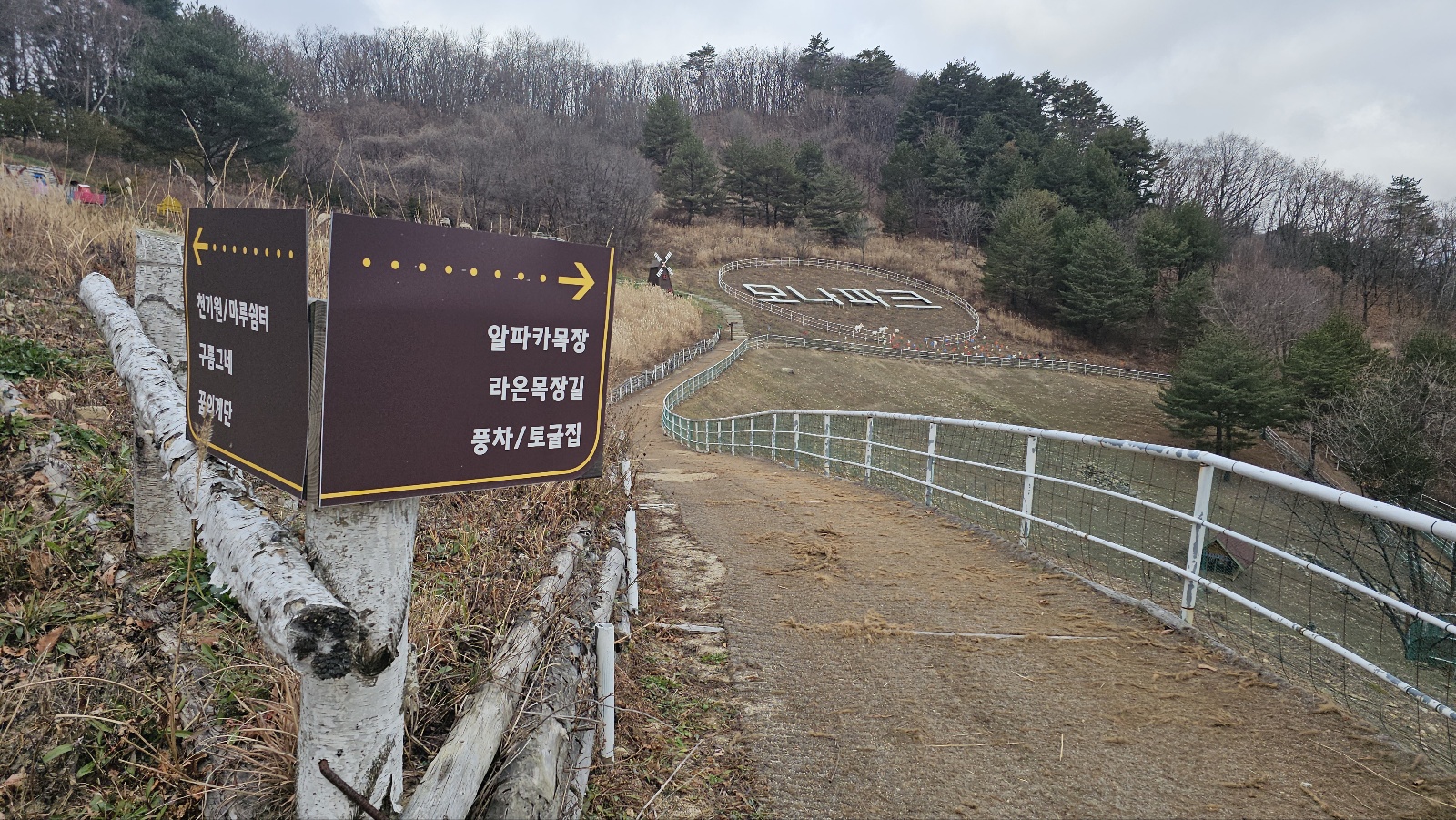 [24.11월] 아이와 평창 #1 - 모나 용평리조트 애니포레🏔️