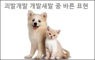 괴발개발 개발새발 중 바른 표현