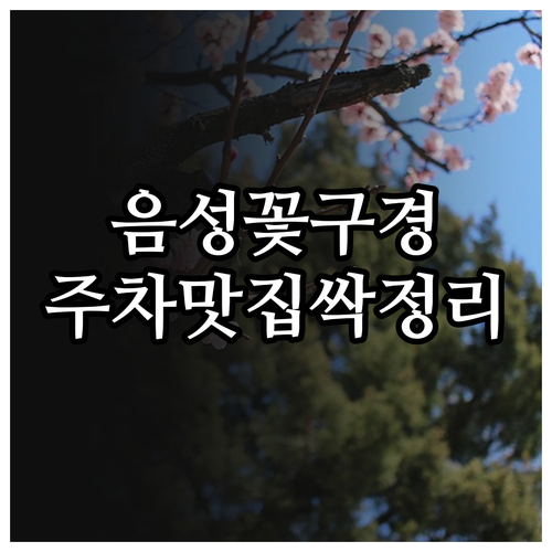 2026년 음성 봄꽃 나들이 장소 및..