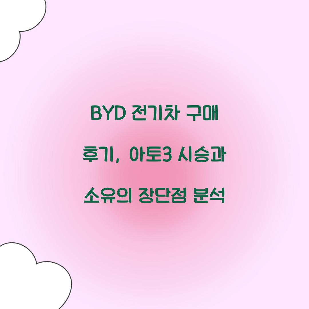 BYD 전기차 구매 후기