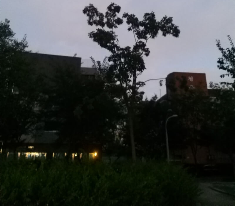 해 뜨기 직전 공원과 하늘