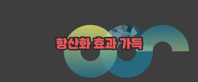 갓김치 효능 한번 정확하게 알아보도록 하죠