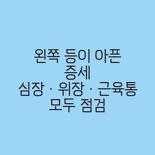 왼쪽 등이 아픈 증세 심장·위장·근육통 모두 점검
