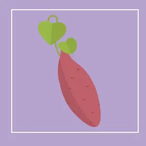 식이섬유가 많은 음식