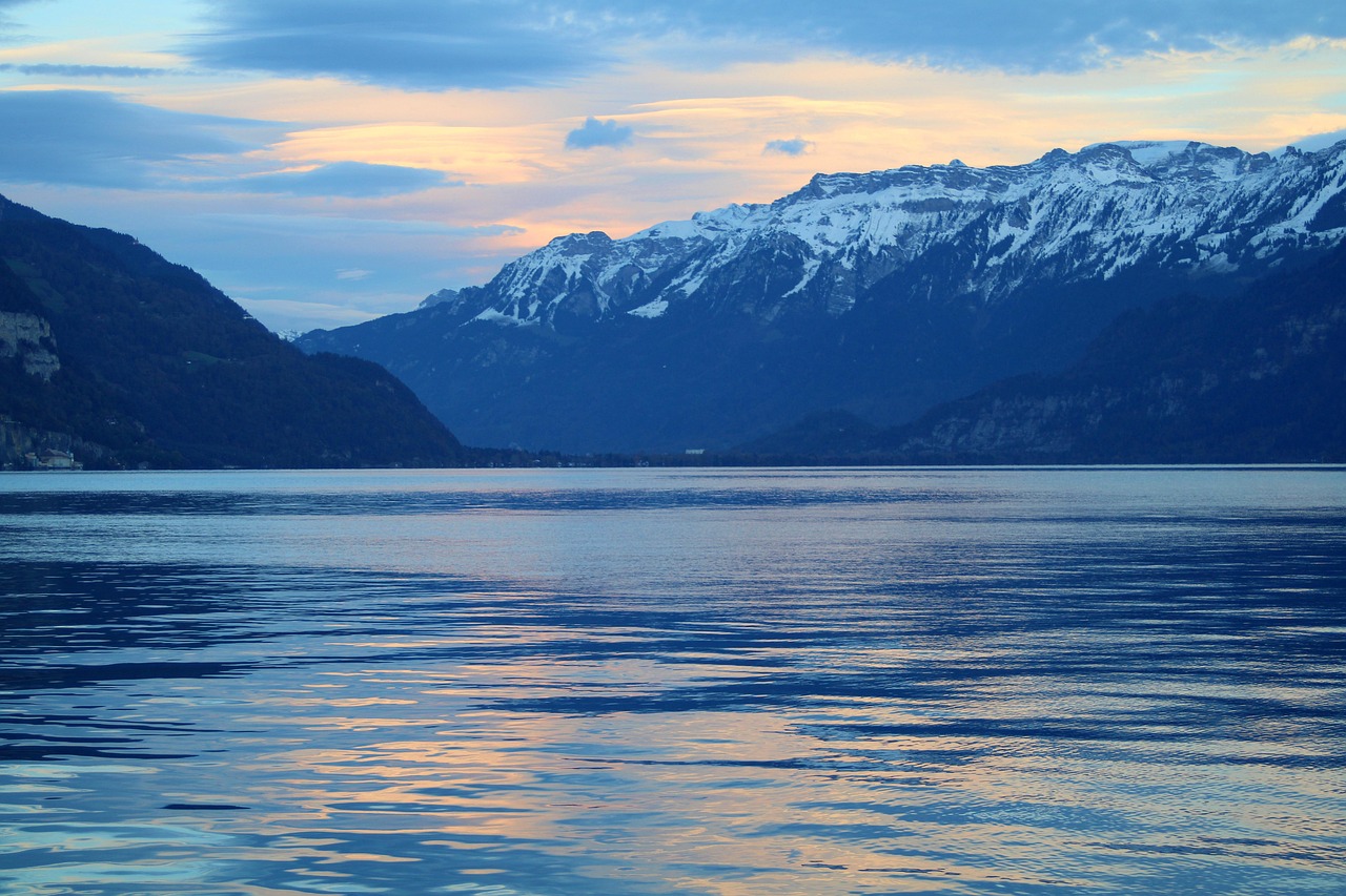 세상의 법칙