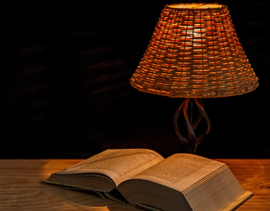 중학생 독서 습관의 중요성 및 시작 방법